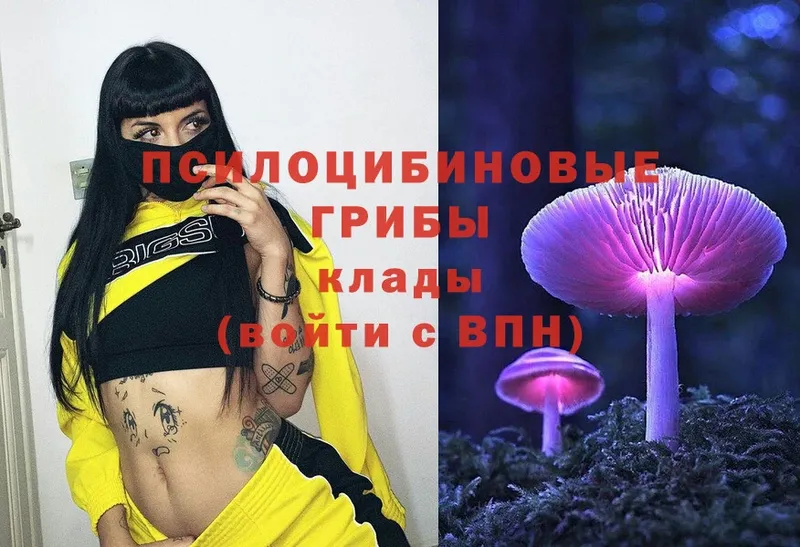 как найти наркотики  mega зеркало  Псилоцибиновые грибы Cubensis  Бавлы 